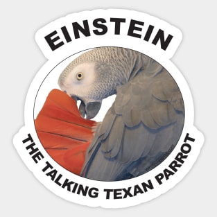 Einstein Parrot African Grey Logo Sticker